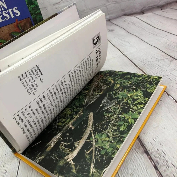 vintage ecozones children's books rain forests wetlands 1989 - Picture 5 of 10